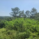 비토보건진료소 이미지