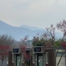 수달생태공원 화장실 이미지