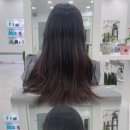 메종드상상 이미지