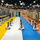 경희대 석사 태비 태권도 네이버블로그