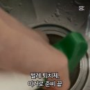 메디미스토리 이미지