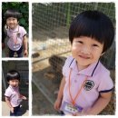 용재농장 이미지