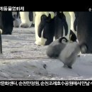 제2회 순천만세계동물영화제 스타 응원영상 메세지 이미지