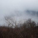타관산 티스토리