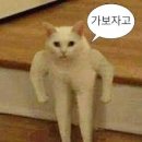 메이드인강화 | [일산] 탄현동 메이드인 피부&왁싱 내돈내산 솔직한 후기