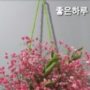 대빈 이미지