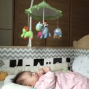 올리농장 이미지