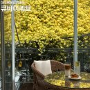 중남부 수도사업소 | 대구 목향장미 명소: 큐바이쿼트, 주차 정보 및 처음 가본 솔직후기