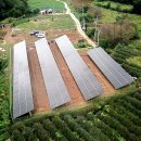 영진태양광발전소 이미지