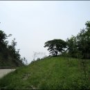 경일목장 이미지