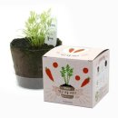 팜팜농장 이미지