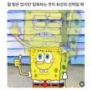 먼데 이미지