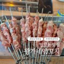 왕가네양꼬치
