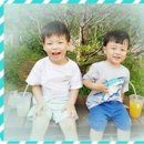 세준푸드 농업회사법인 주식회사 네이버블로그