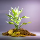 진수학보습학원 | 2026년 정승제 하숙집 대박 터졌다! '일타 강사'가 밝힌 '하고 싶은 일' 진짜 비밀 🔥