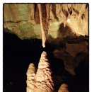 천곡농장 이미지