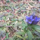 용담보건지소 이미지