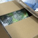 콩드립 | 쇼슈겐 갸루비 완두콩과자 야마모토 유기말차 메구리즘 온열안대 썬스타 리퀴드젤 치약 드립온 드립백 후기