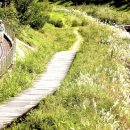 인천대공원(자전거광장) 이미지