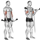 바디스타 짐 이미지