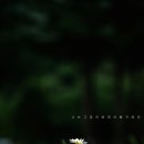당신이꽃