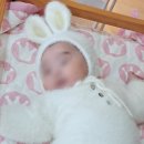 다산지금로16번길 | 남양주다산 이츠모하루스튜디오:: 100일촬영 성장패키지A 1인작가후기