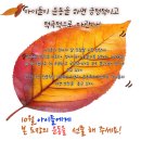 국가대표 모아 태권도장 이미지