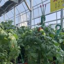 동수목장 이미지