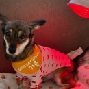 감일유치원 이미지