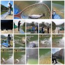 말고개낚시터 이미지