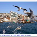 부산갈매기 - 당진시 먹거리길 72-13 | 부산갈매기