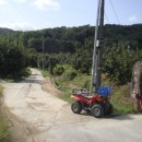 성골 농원 이미지