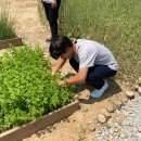 미륵산늘품치유농장