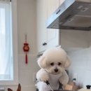 앗싸 Daum카페