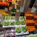 오씨네 과일야채생선 이미지