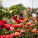 먹골역7번출구 이미지