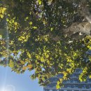 종로5가미래약국 | 환절기 건조한 피부 꿀템 종로5가 미래약국, 바로 옆 광장시장 아베베베이커리