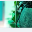 장어대가 이미지