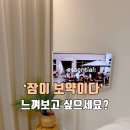 포렌하우스 이미지
