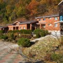 민주지산자연휴양림 이미지