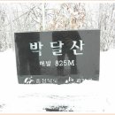 박달산정상 (825m) Daum카페
