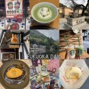 홀로키친 | 알차요/유후인 히타 다자이후 인디고트래블 버스투어 나홀로 후기/미피모리노 키친/스누피차야/먹거리 추천