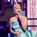 The Man's Dog 이미지