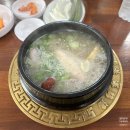 야탑골한방삼계탕 | 분당 맛집 야탑골한방삼계탕 / 초복맞이 엄마랑 점심 데이트!