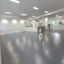 아지트 포 독 이미지