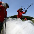 남원읍-78 이미지