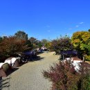 빨래터당구장 | [경상북도 경주시] 경주초우오토캠핑장