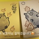 코펫스쿨시흥배곧캠퍼스
