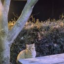 물맑음 펜션 이미지