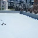 금교초등학교 이미지